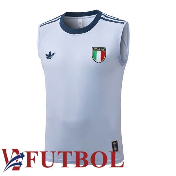 Chalecos De Futbol Italia Gris 2026/2027